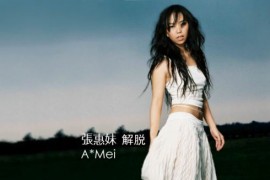 【MP3+FLAC】张惠妹 - 解脱