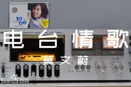 【MP3+FLAC】莫文蔚 - 电台情歌